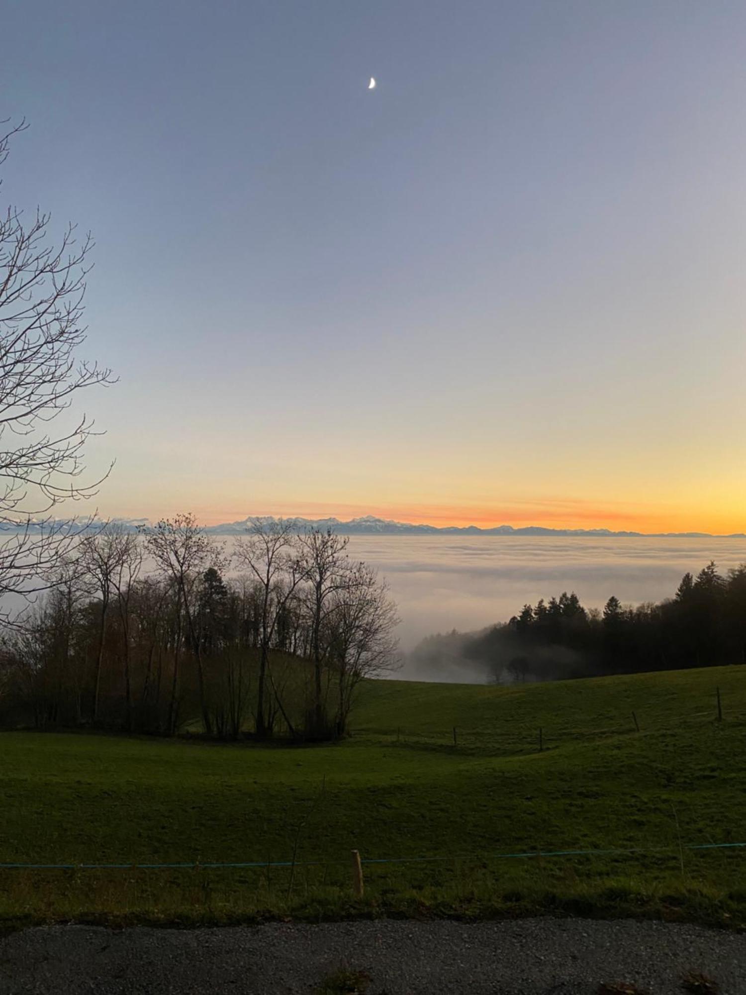 Tevenon Vue Panoramique Alpes-Lac Grandevent エクステリア 写真